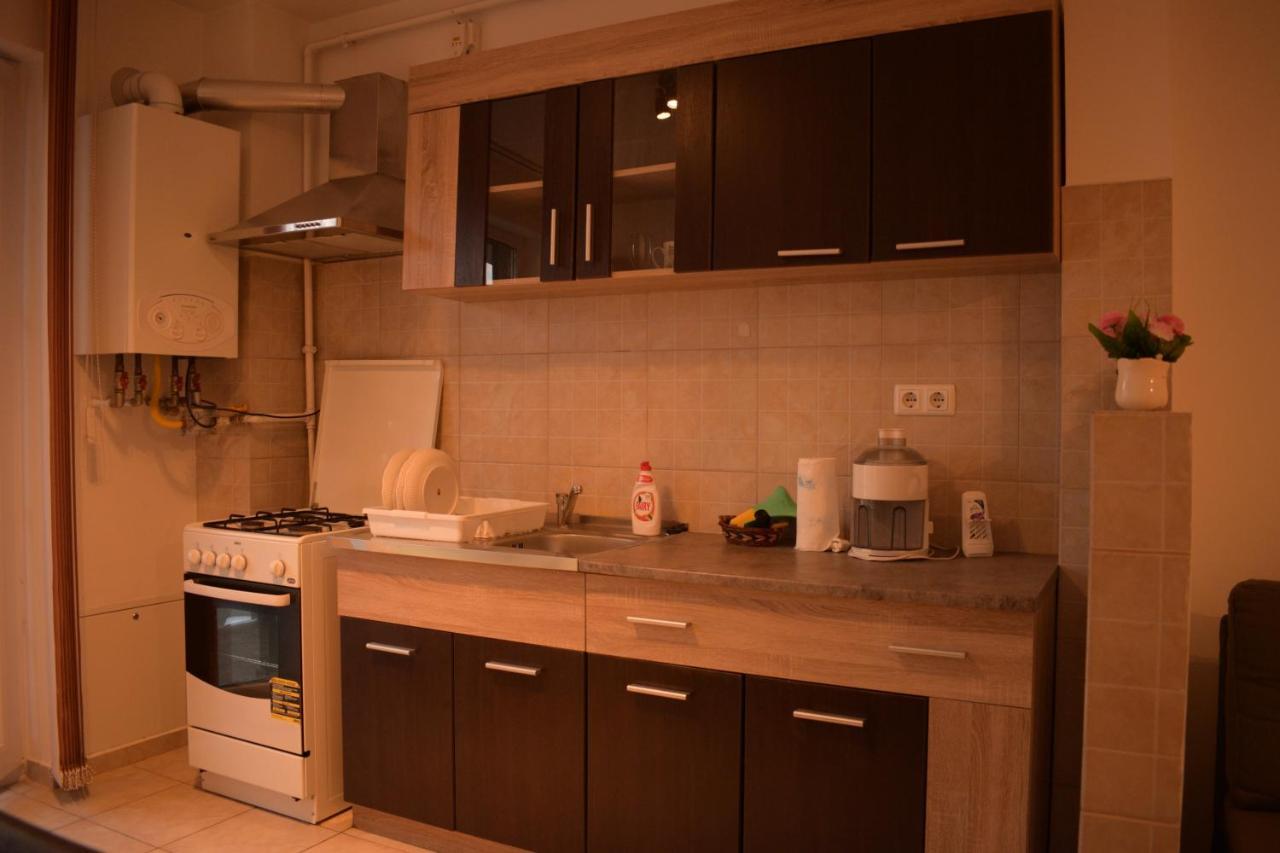 Апартаменти Apartament Alexandru Сібіу Екстер'єр фото